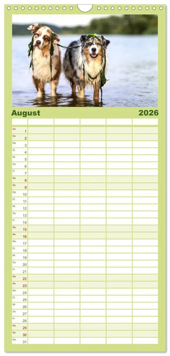 Bild: 9783516512304 | Familienplaner 2026 - Australian Shepherd mit 5 Spalten...