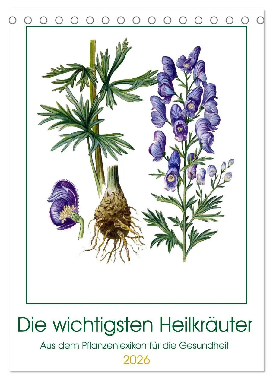 Cover: 9783516362404 | Die wichtigsten Heilkräuter (Tischkalender 2026 DIN A5 hoch),...