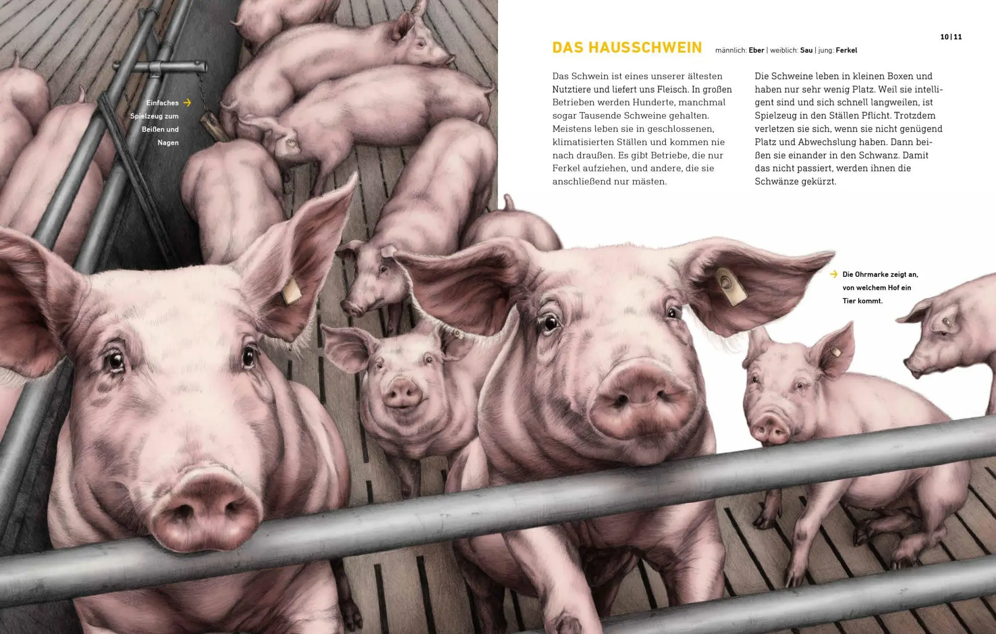 Bild: 9783954702404 | Das wahre Leben der Bauernhoftiere | Lena Zeise | Buch | 40 S. | 2026