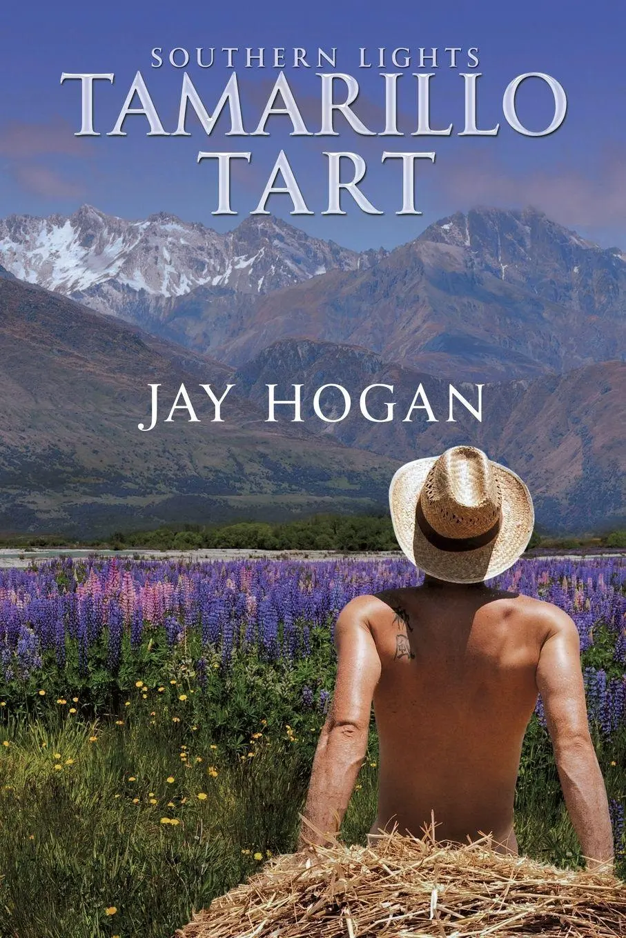 Cover: 9780995132504 | Tamarillo Tart | Southern Lights | Jay Hogan | Taschenbuch | Englisch