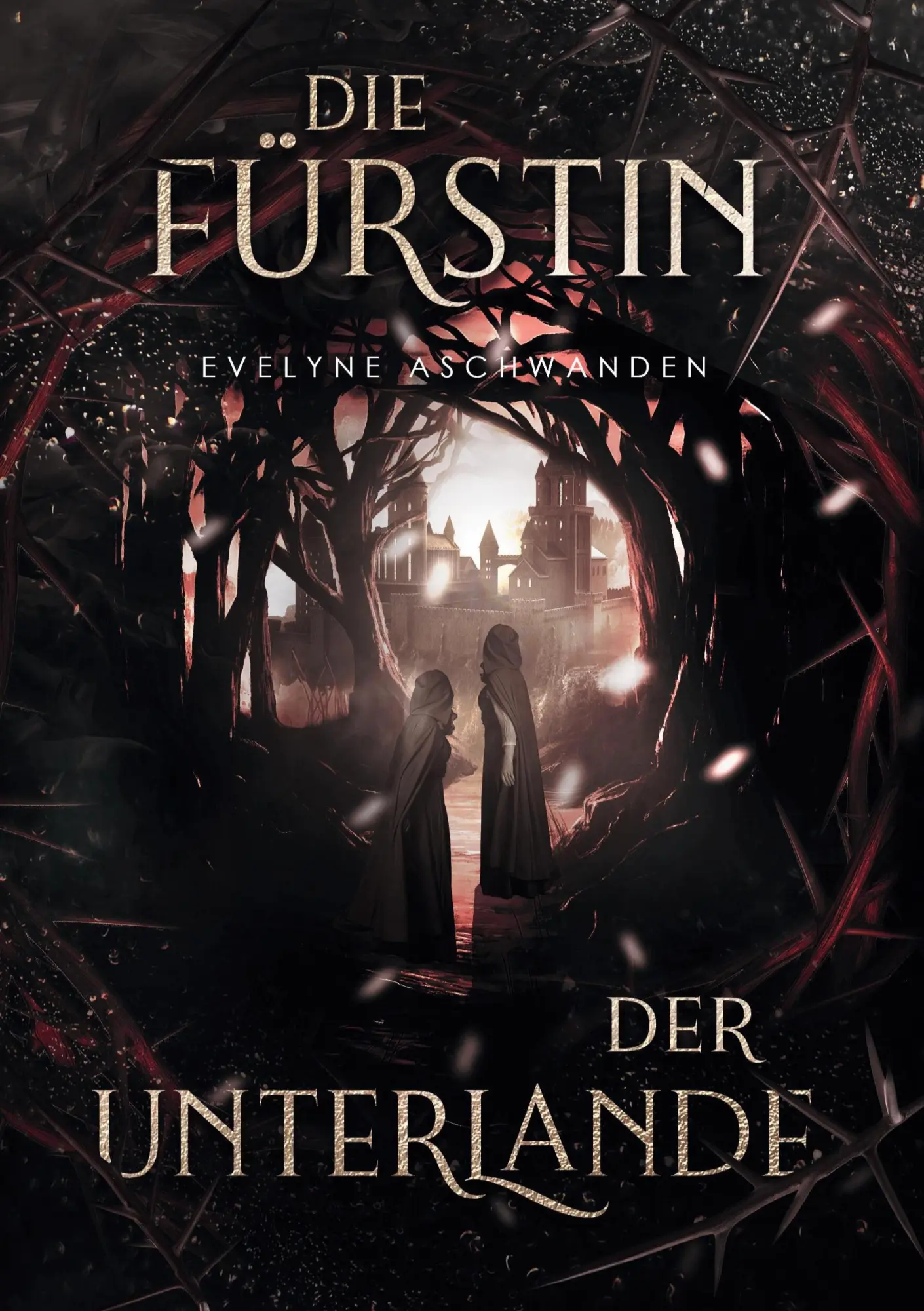 Cover: 9783754642504 | Die Fürstin der Unterlande | Evelyne Aschwanden | Taschenbuch | 316 S.