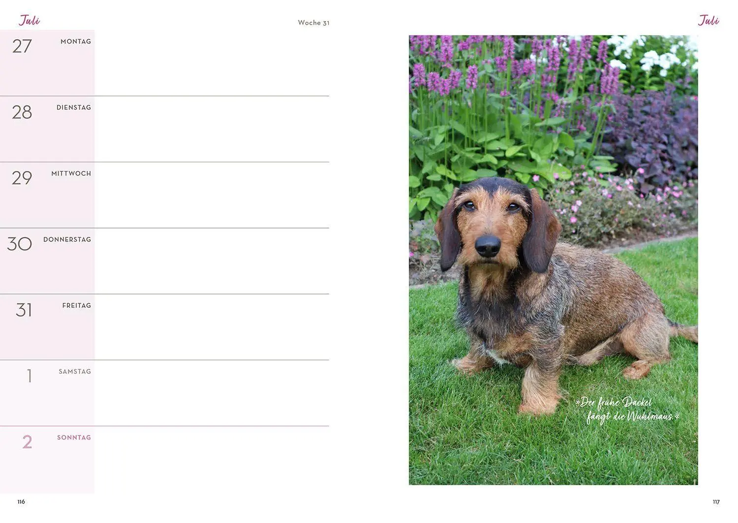 Bild: 9783440182604 | Mit Herz &amp; Gabel durch Katrins Gartenjahr 2026 | Katrin Iskam | Buch