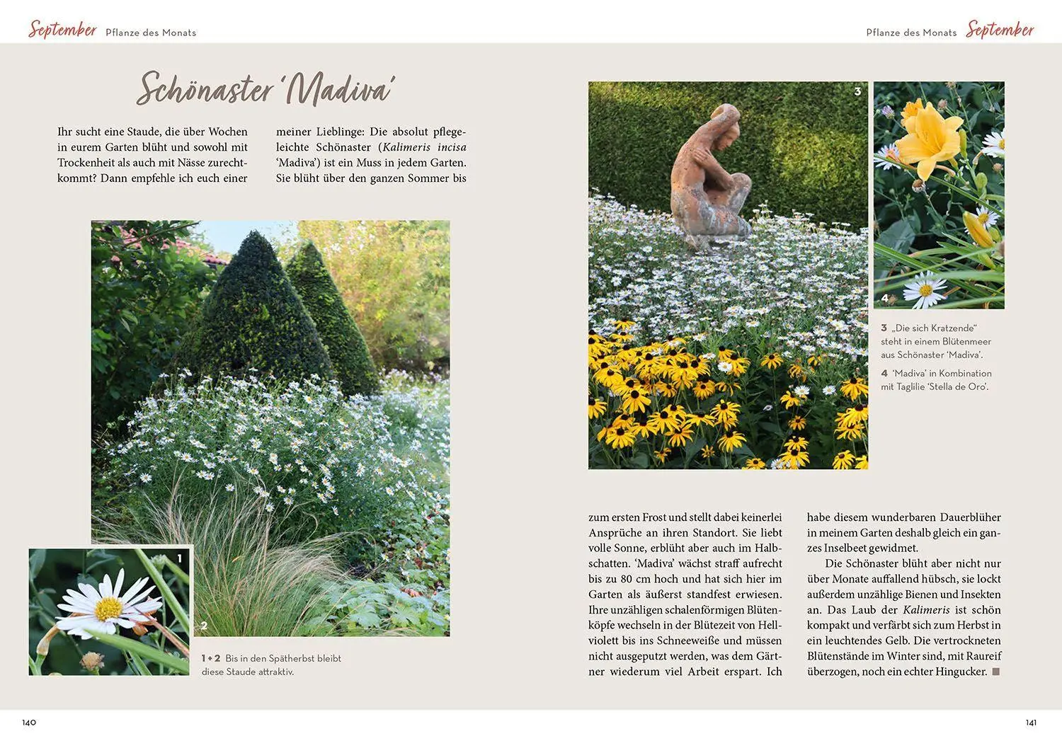 Bild: 9783440182604 | Mit Herz &amp; Gabel durch Katrins Gartenjahr 2026 | Katrin Iskam | Buch