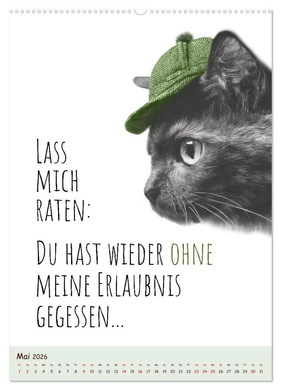 Bild: 9783516722604 | Katzenkult - Coolness auf vier Pfoten (hochwertiger Premium...