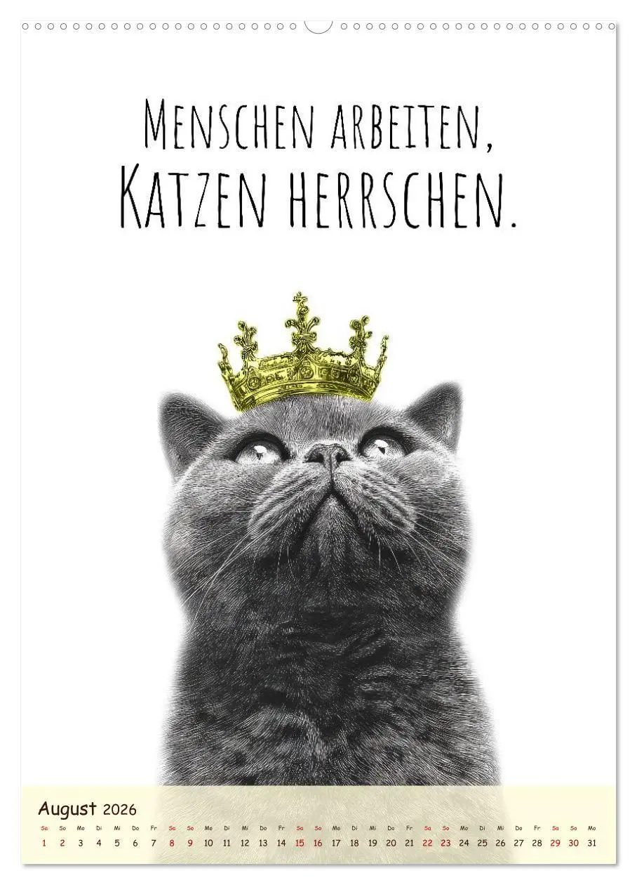 Bild: 9783516722604 | Katzenkult - Coolness auf vier Pfoten (hochwertiger Premium...