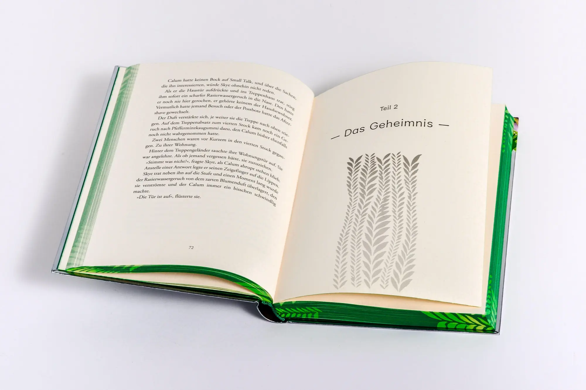 Bild: 9783570182604 | Wilderland - Der Wald | Gina Mayer | Buch | Die Wilderland-Reihe | cbj