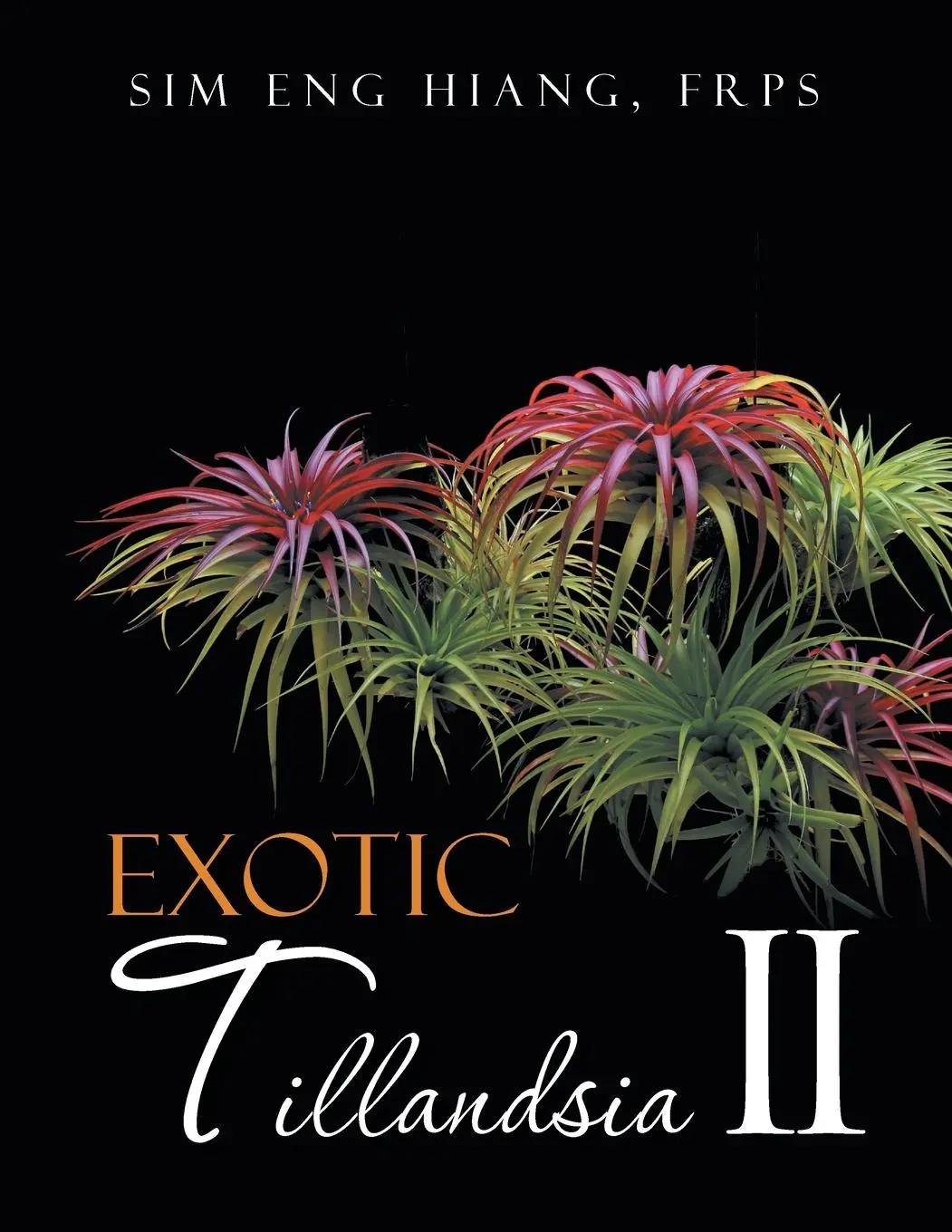 Cover: 9781482882704 | Exotic Tillandsia II | F R P S Sim Eng Hiang | Taschenbuch | Englisch