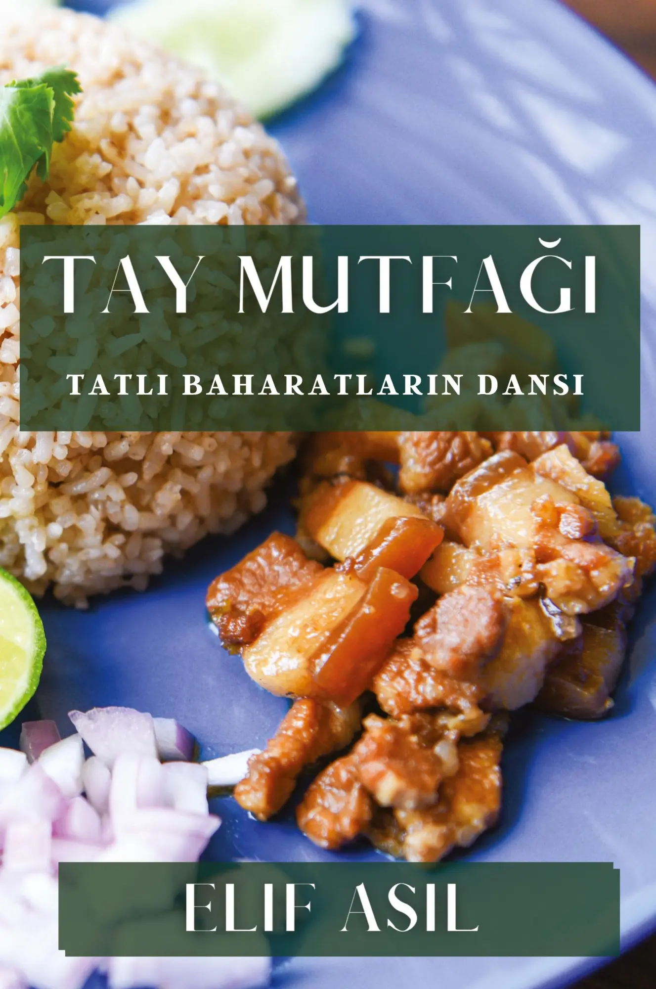 Cover: 9781835792704 | Tay Mutfa¿¿ | Tatl¿ Baharatlar¿n Dans¿ | Elif Asil | Taschenbuch