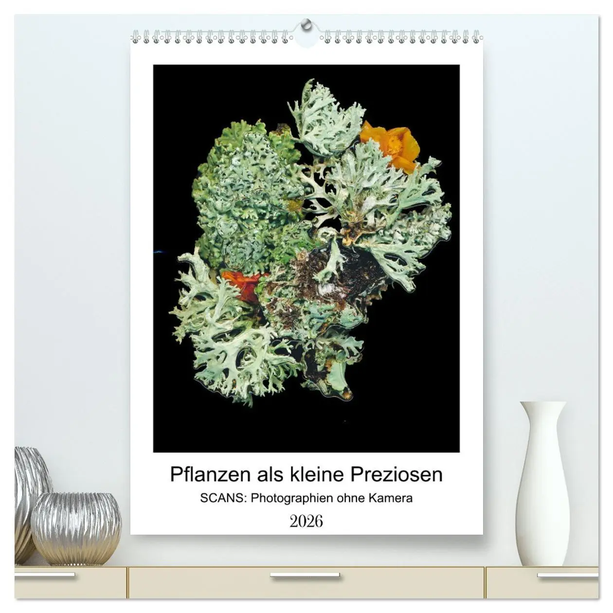 Cover: 9783516332704 | Pflanzen als kleine Preziosen (hochwertiger Premium Wandkalender...