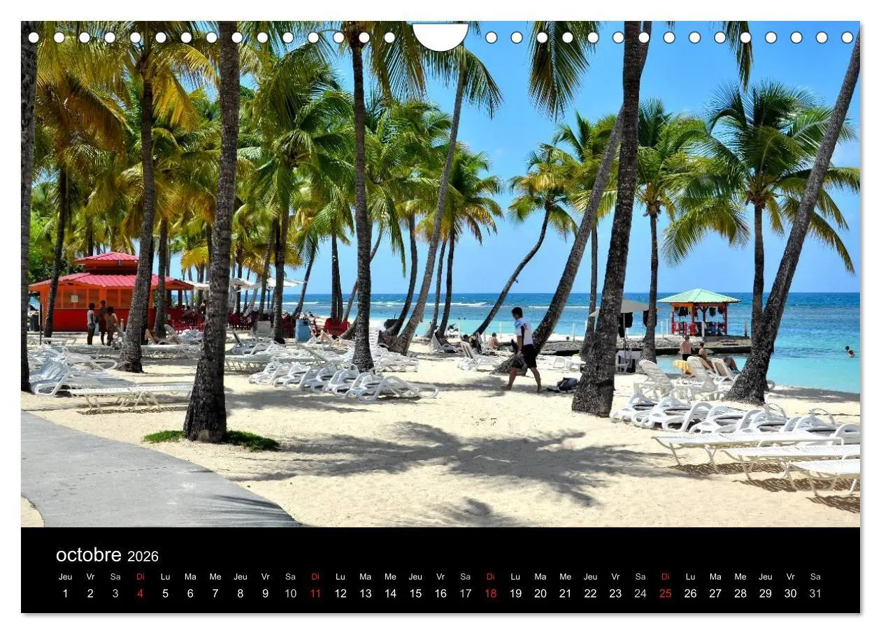 Bild: 9783516572704 | Paysages de Guadeloupe (Calendrier mural 2026 DIN A4 vertical),...