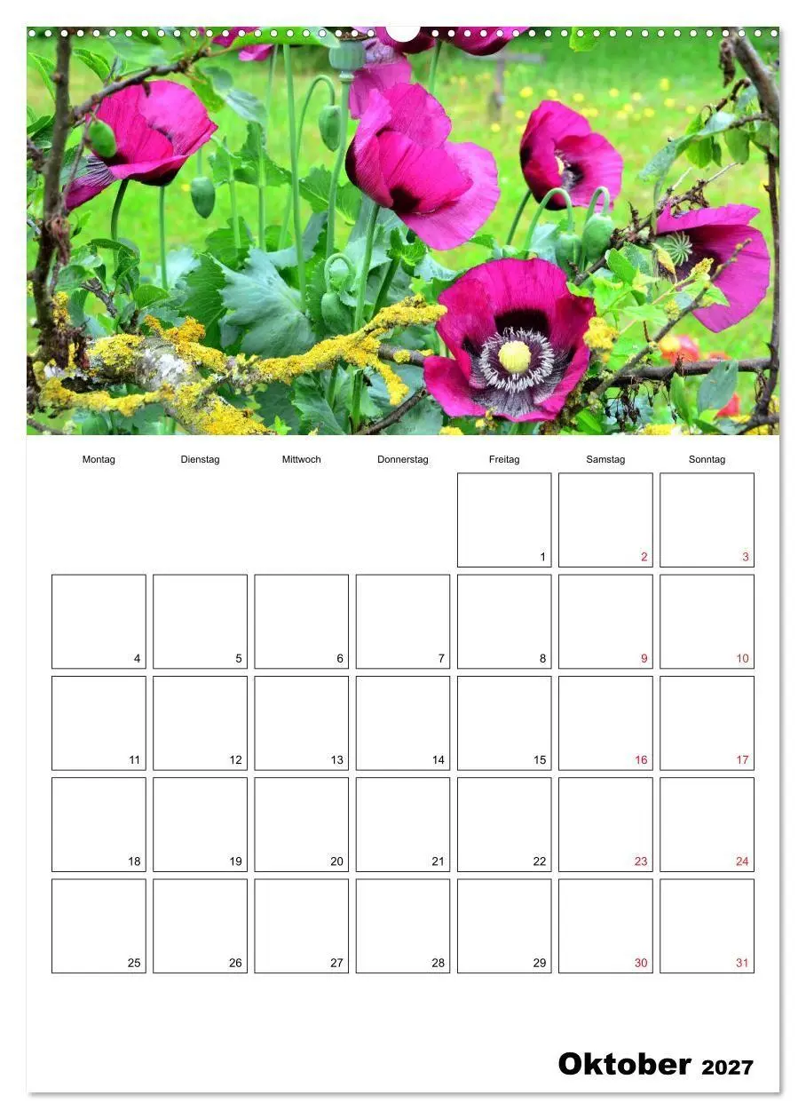 Bild: 9783569732704 | Langeoog - eine Trauminsel (Wandkalender 2027 DIN A2 hoch),...