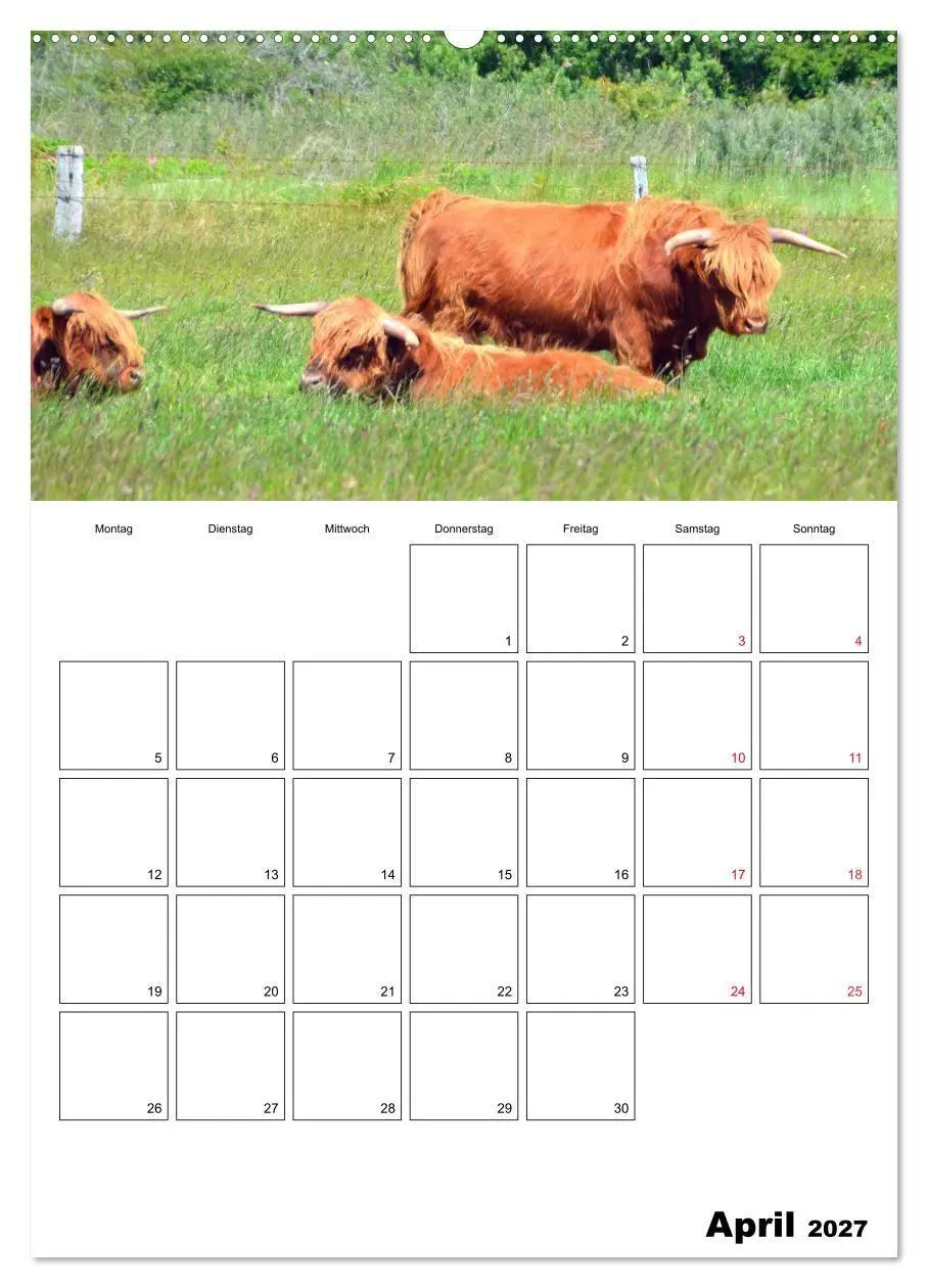 Bild: 9783569732704 | Langeoog - eine Trauminsel (Wandkalender 2027 DIN A2 hoch),...