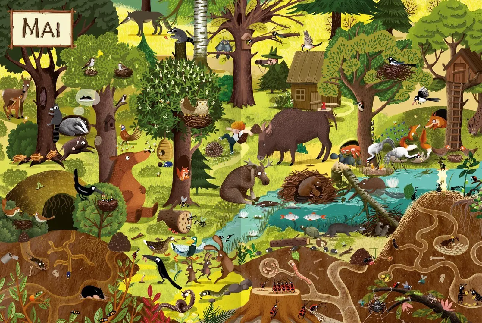 Bild: 9783845872704 | Ein Jahr im Wald | Emilia Dziubak | Buch | 32 S. | Deutsch | 2026