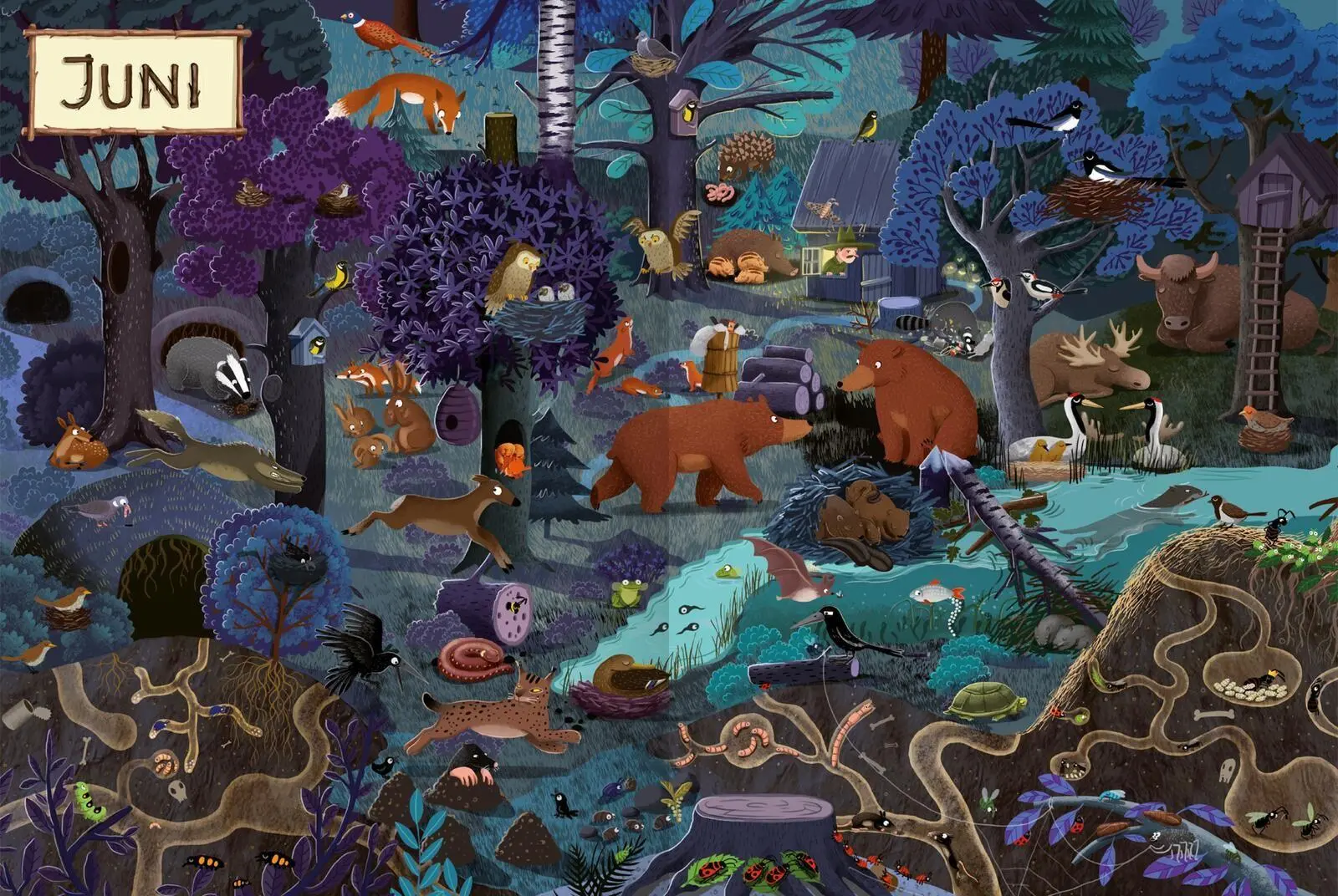 Bild: 9783845872704 | Ein Jahr im Wald | Emilia Dziubak | Buch | 32 S. | Deutsch | 2026