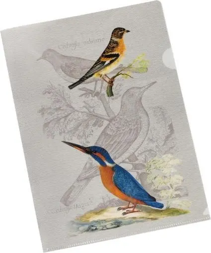 Cover: 4250915932804 | Pasta für Nachtigallen Bunte Sichthülle - Eisvogel | farbig | Deutsch