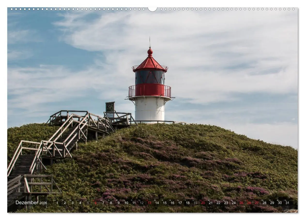 Bild: 9783457922804 | Amrum Insel am Wattenmeer (Wandkalender 2026 DIN A2 quer), CALVENDO...