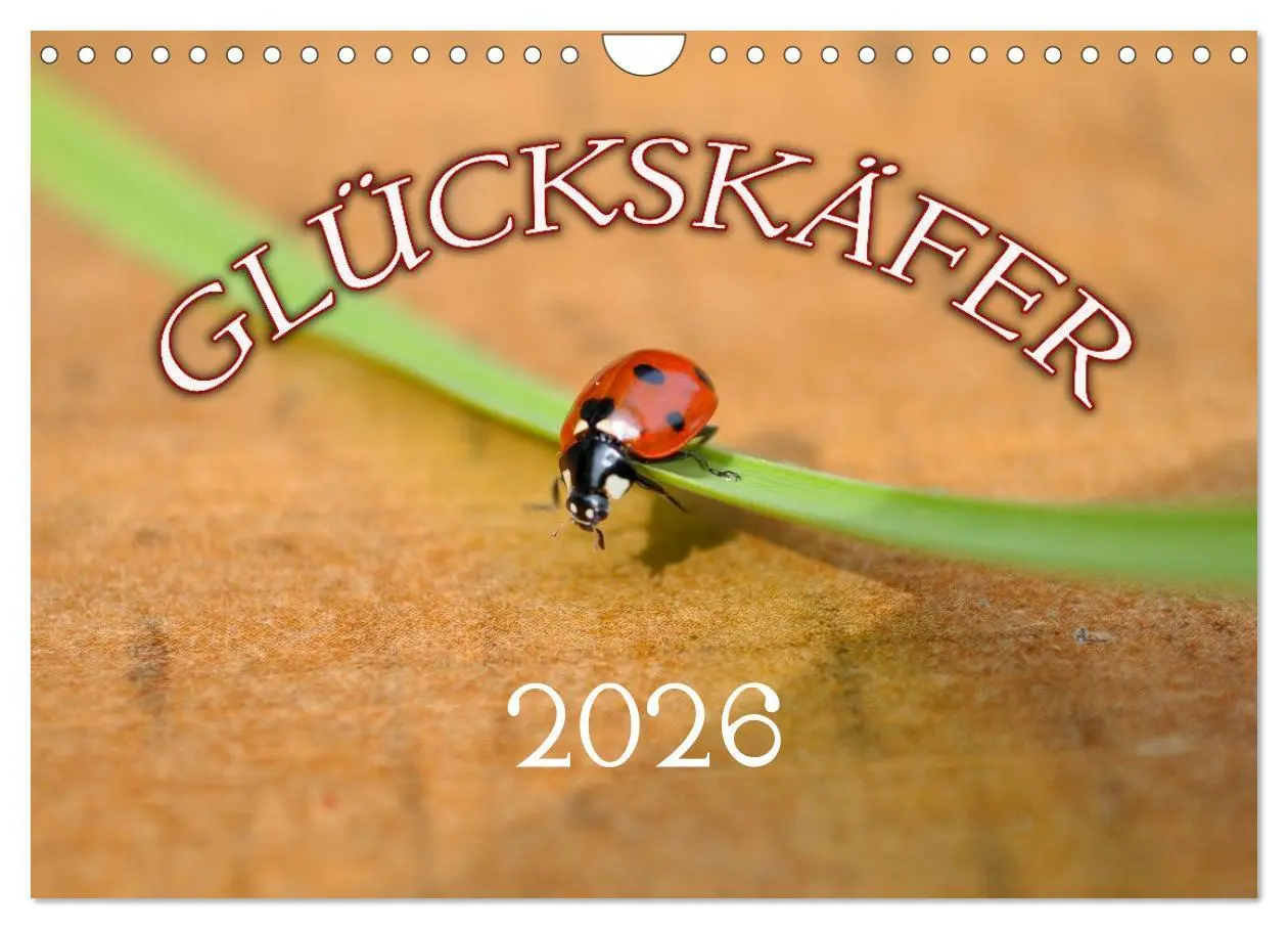 Cover: 9783516182804 | Marienkäfer 2026 (Wandkalender 2026 DIN A4 quer), CALVENDO...