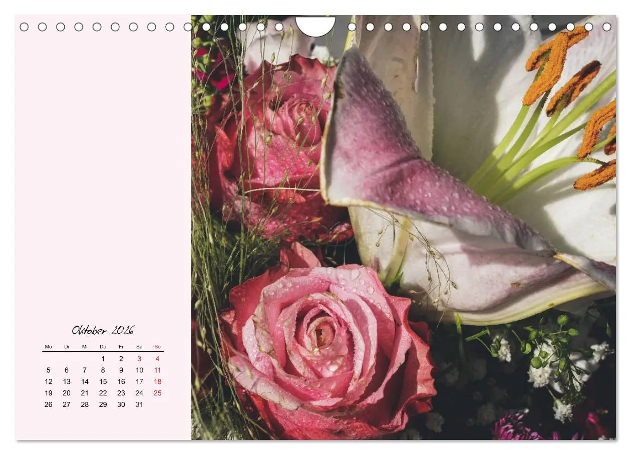 Bild: 9783457772904 | Rosen. Charmante und edle Königinnen (Wandkalender 2026 DIN A4...