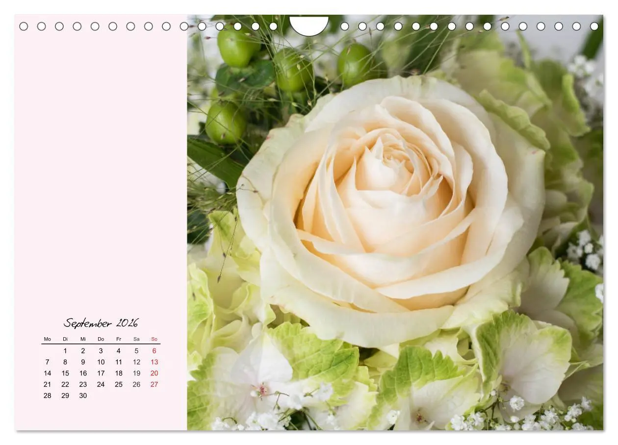 Bild: 9783457772904 | Rosen. Charmante und edle Königinnen (Wandkalender 2026 DIN A4...