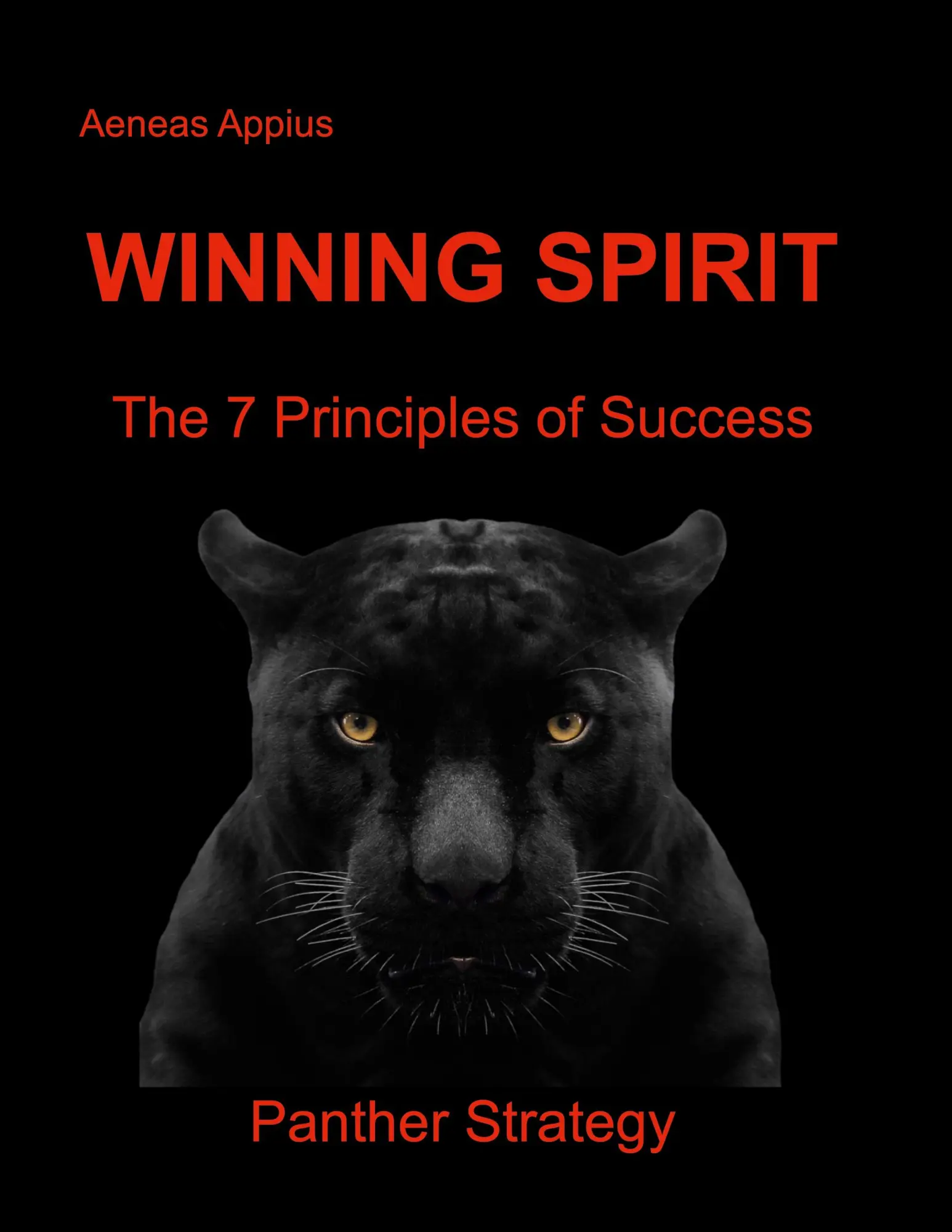 Cover: 9783757812904 | Winning Spirit | The 7 Principles of Success | Aeneas Appius | Buch