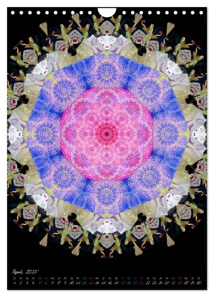 Bild: 9783457043004 | MANDALAS der Natur (Wandkalender 2025 DIN A4 hoch), CALVENDO...