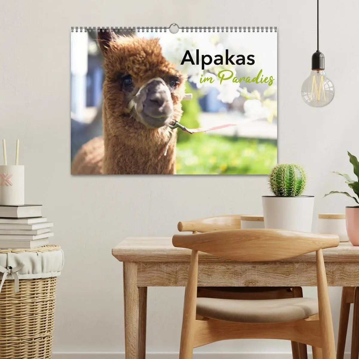 Bild: 9783457353004 | Alpakas im Paradies (Wandkalender 2026 DIN A3 quer), CALVENDO...