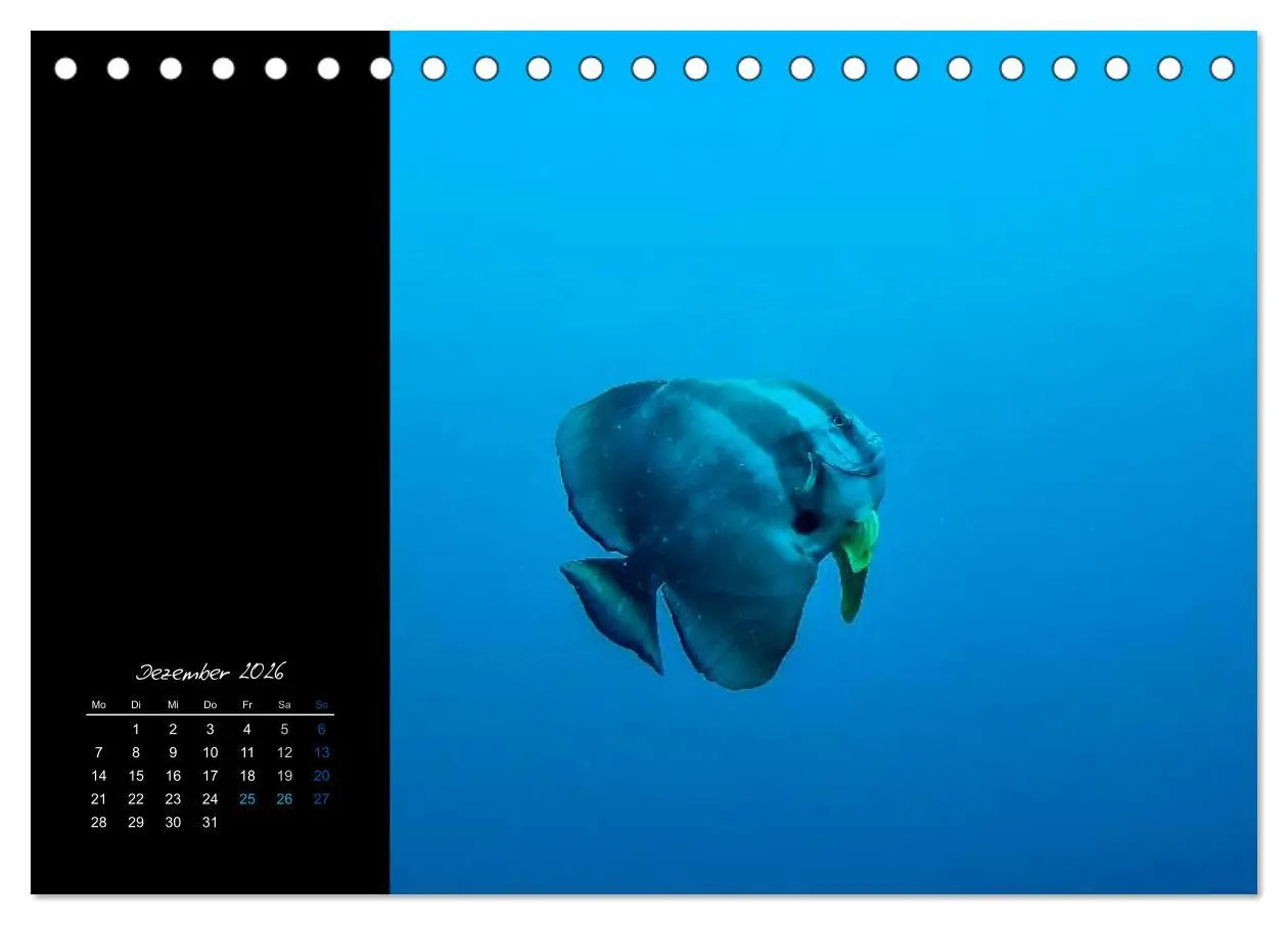 Bild: 9783516133004 | Malediven - dem Himmel so nah (Tischkalender 2026 DIN A5 quer),...