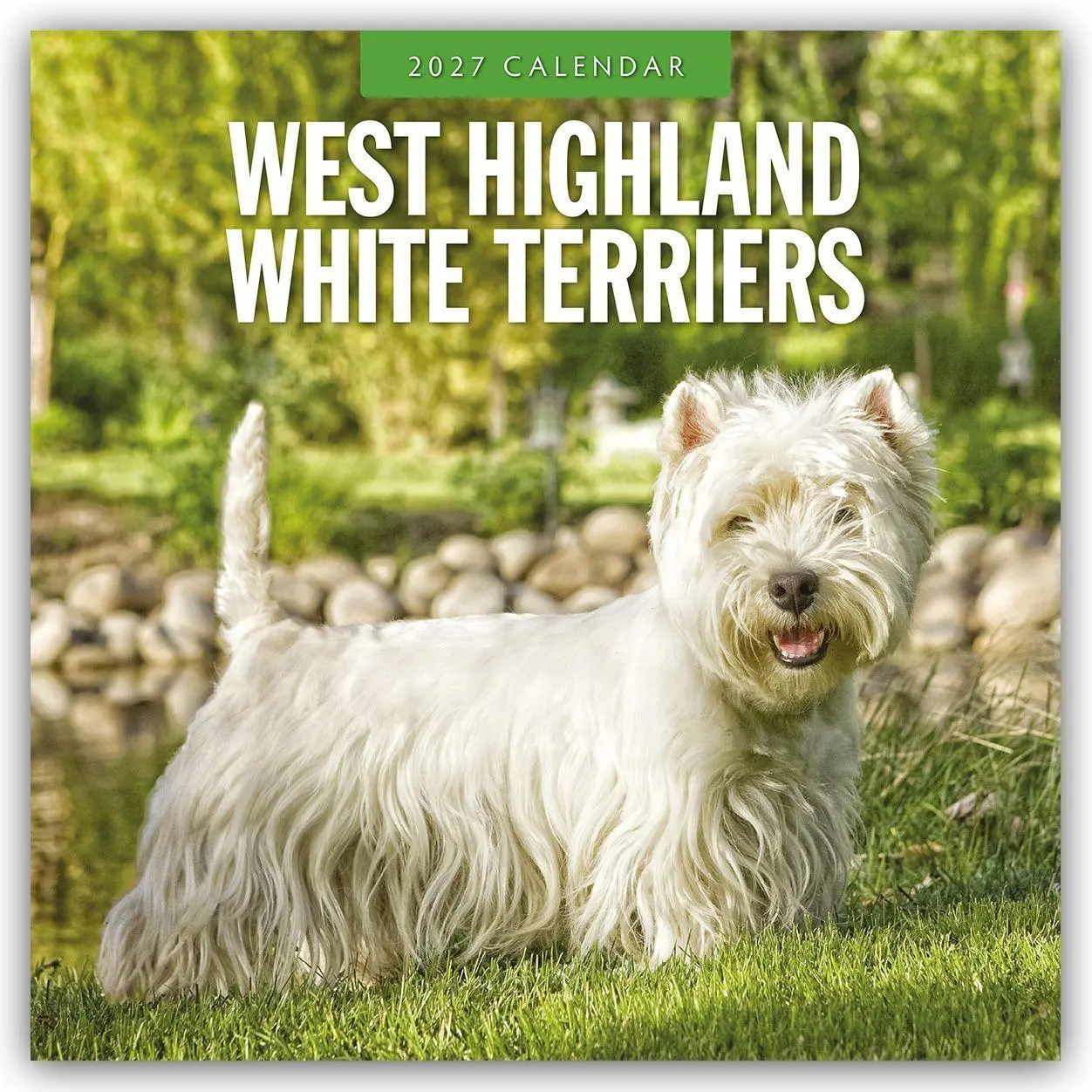 Cover: 9781837013104 | West Highland White Terriers - West Highland White Terrier - Westie...