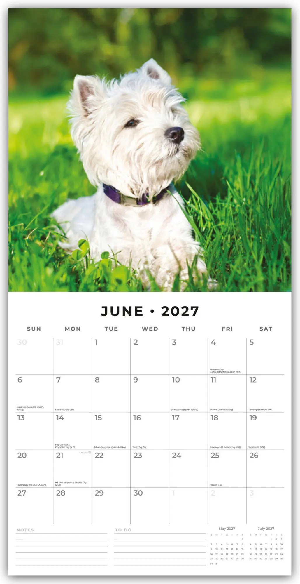 Bild: 9781837013104 | West Highland White Terriers - West Highland White Terrier - Westie...