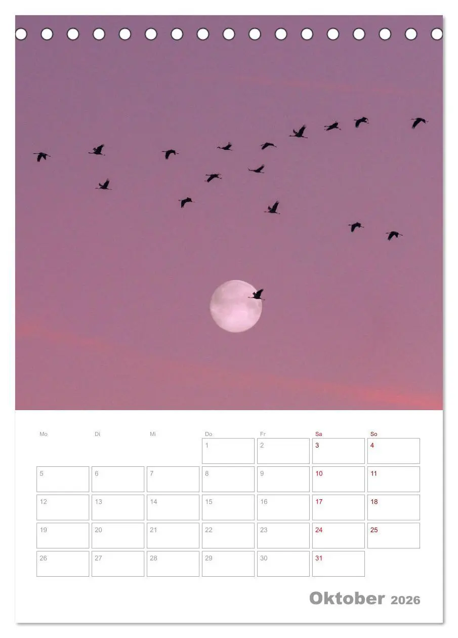 Bild: 9783516363104 | VOLLMOND-Planer - Im Licht der Nacht (Tischkalender 2026 DIN A5...