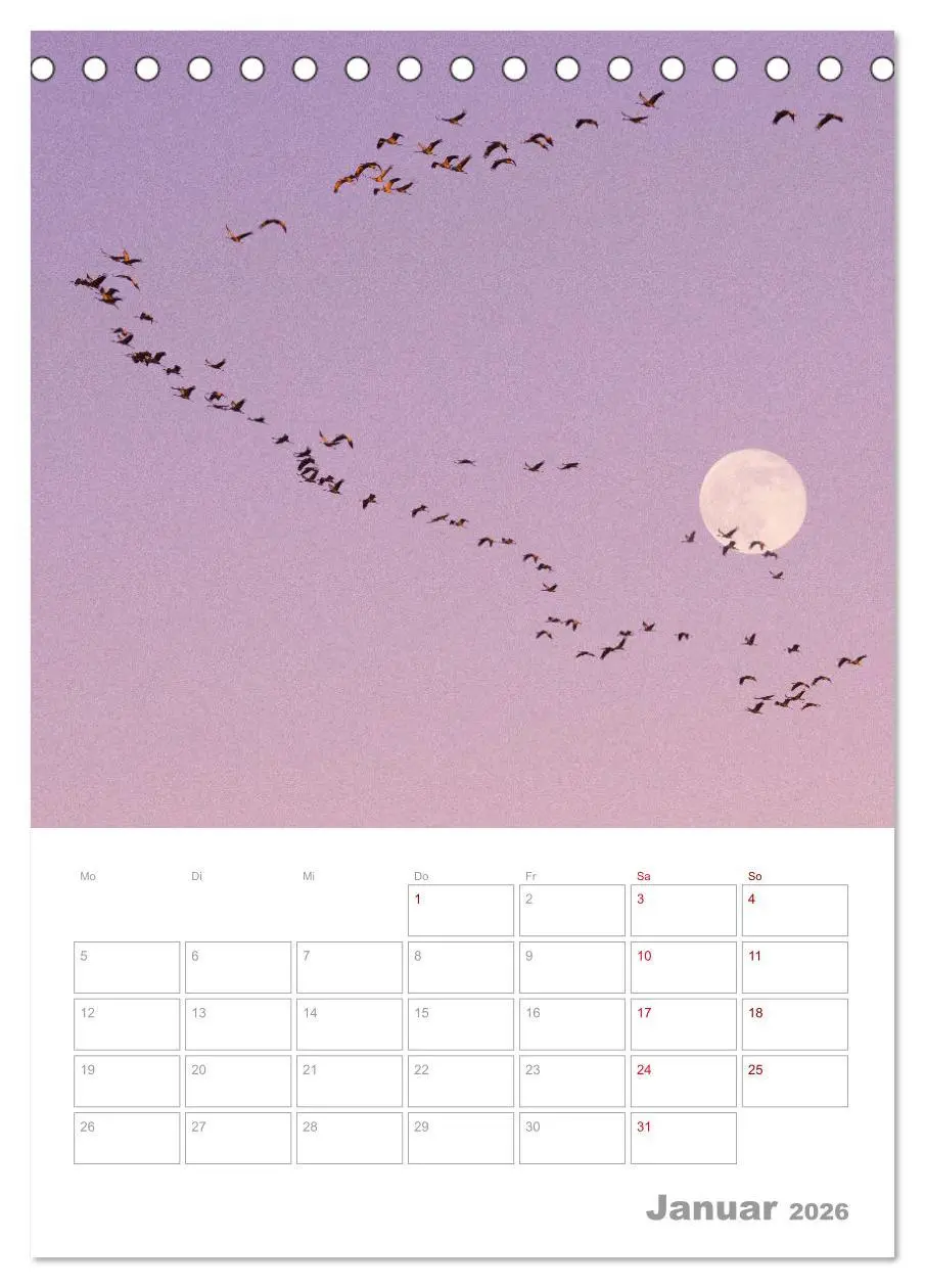 Bild: 9783516363104 | VOLLMOND-Planer - Im Licht der Nacht (Tischkalender 2026 DIN A5...