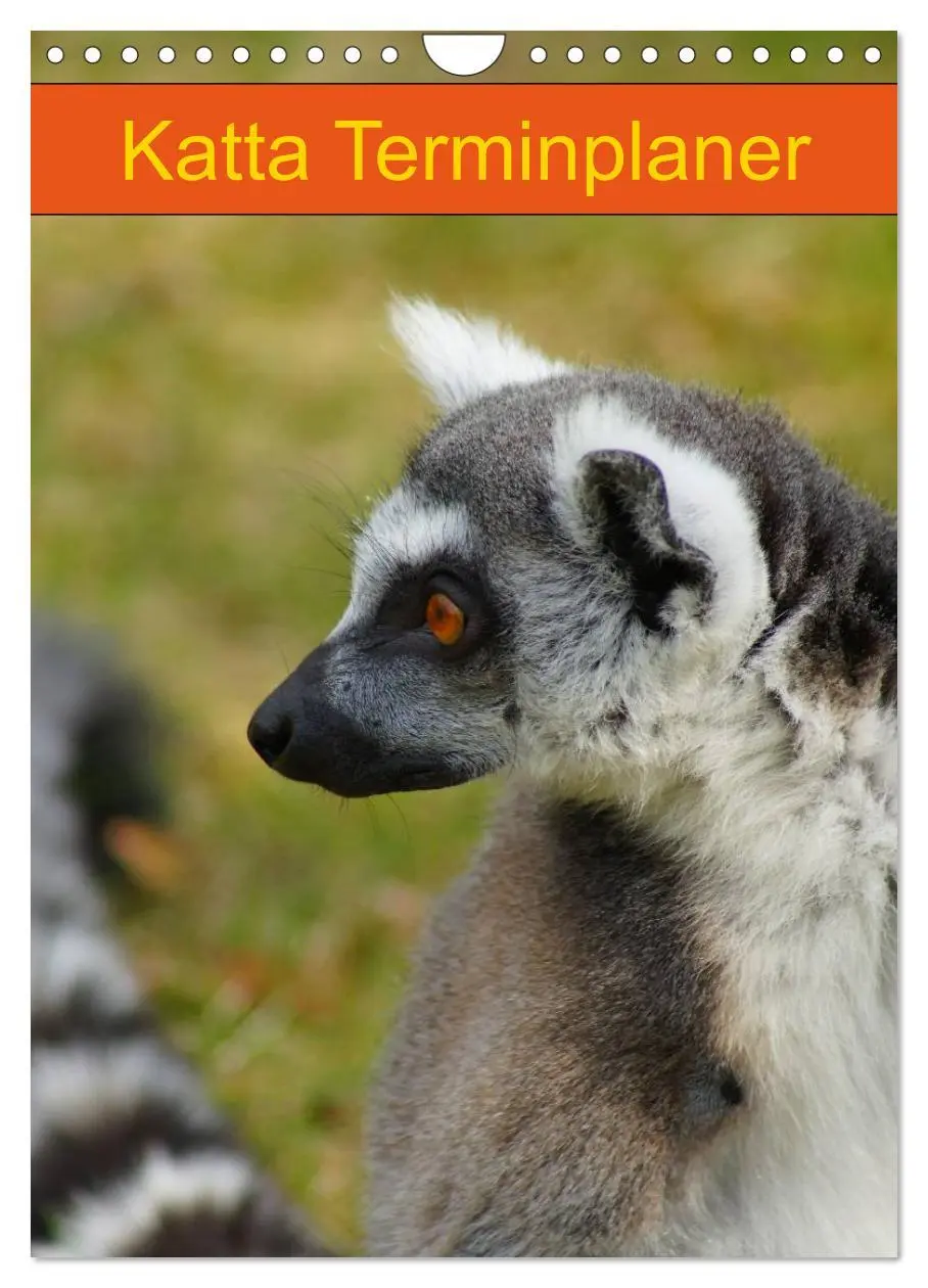 Cover: 9783516433104 | Katta Terminplaner (Wandkalender 2026 DIN A4 hoch), CALVENDO...