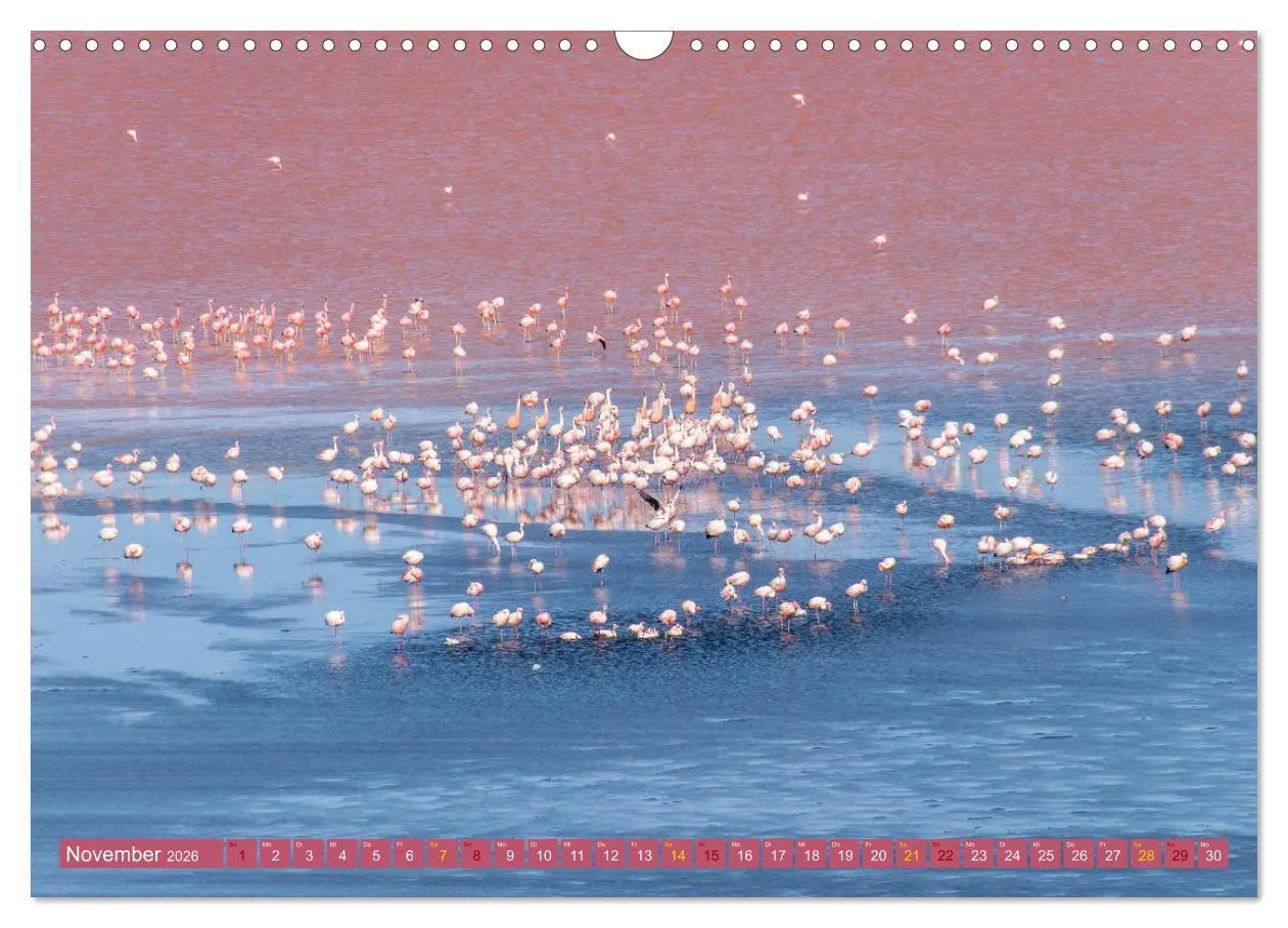 Bild: 9783457883204 | Farbenfrohes Bolivien (Wandkalender 2026 DIN A3 quer), CALVENDO...