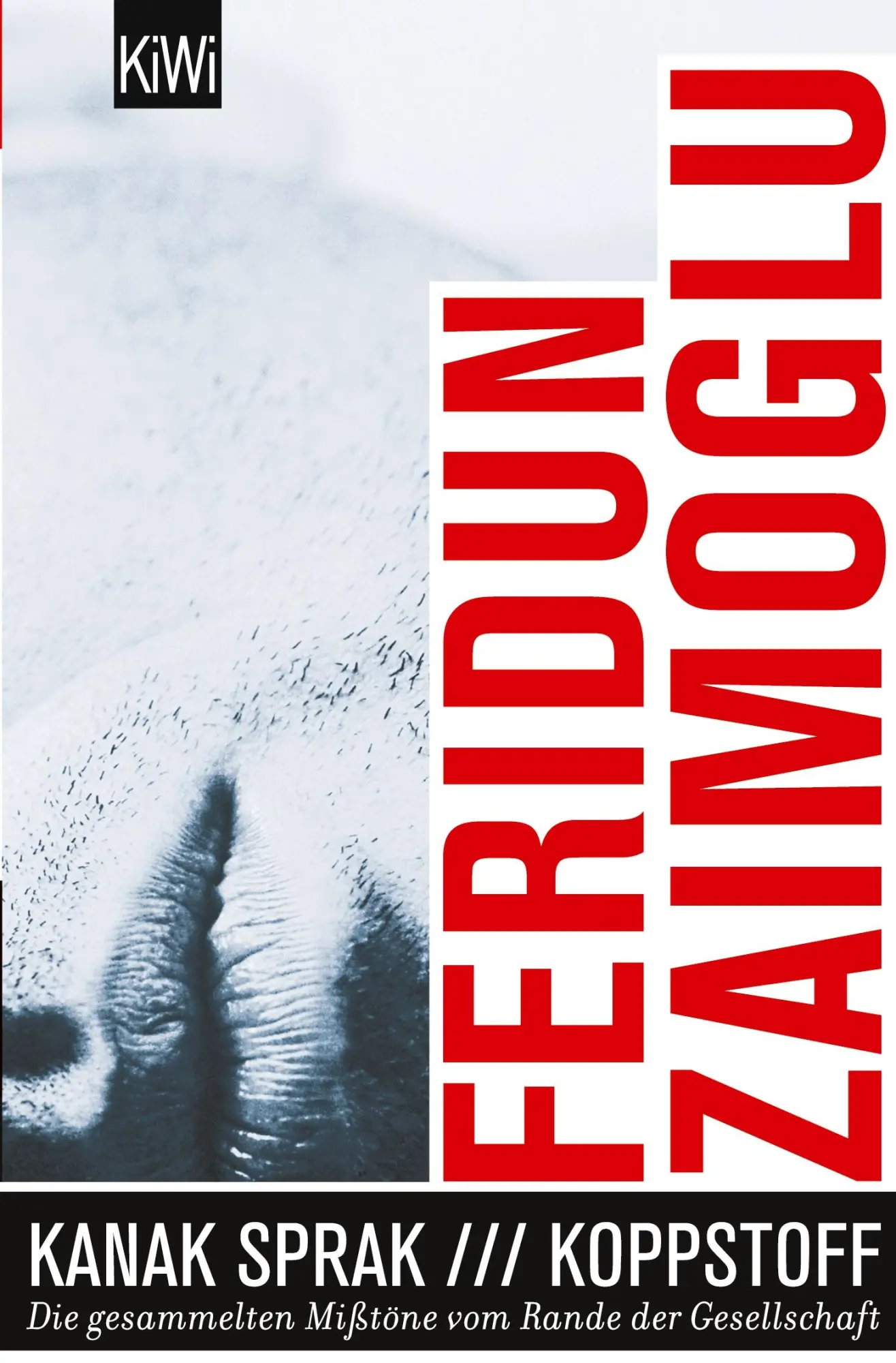 Cover: 9783462043204 | Kanak Sprak / Koppstoff | Feridun Zaimoglu | Taschenbuch | 240 S.