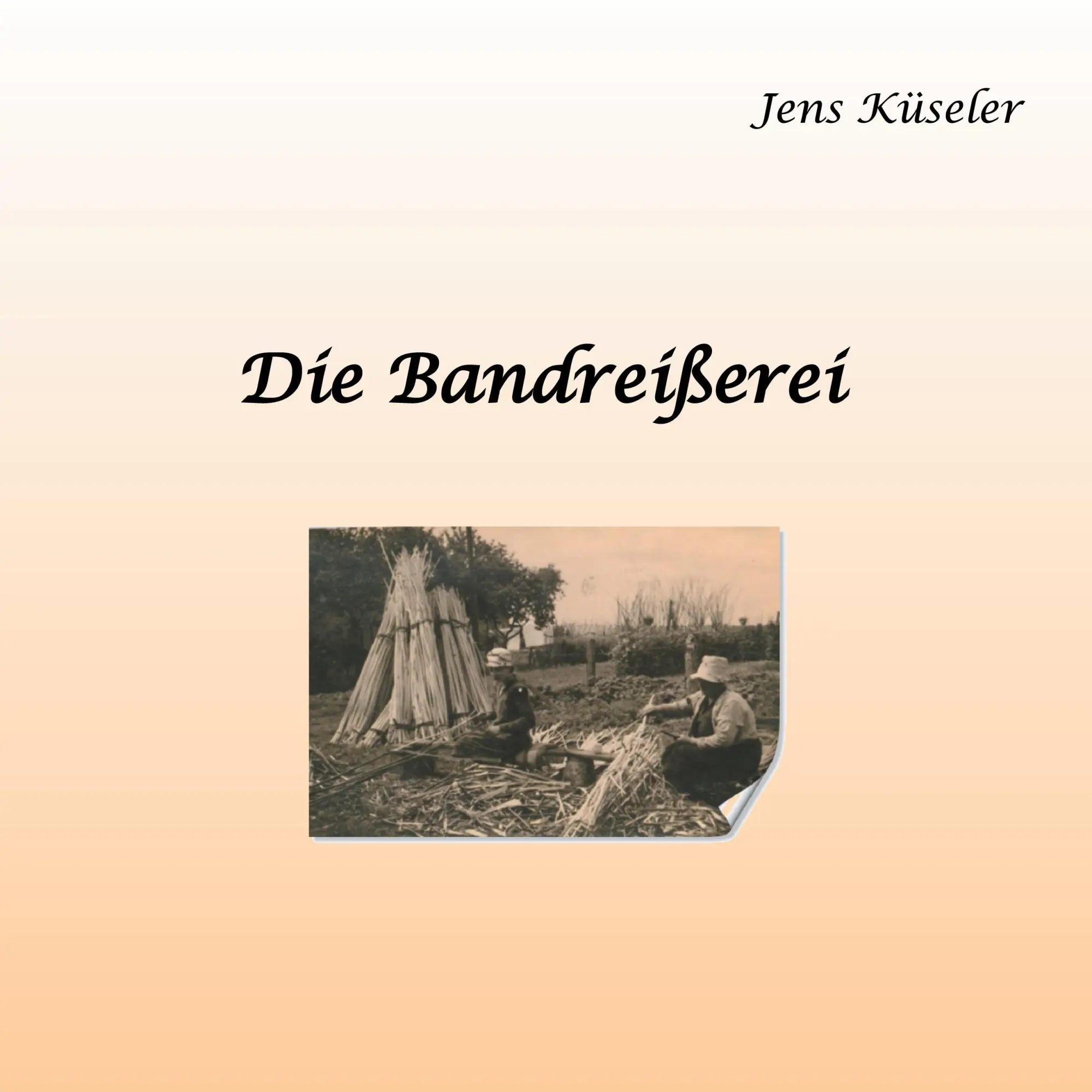 Cover: 9783752663204 | Die Bandreißerei | Jens Küseler | Taschenbuch | 36 S. | Deutsch | 2020