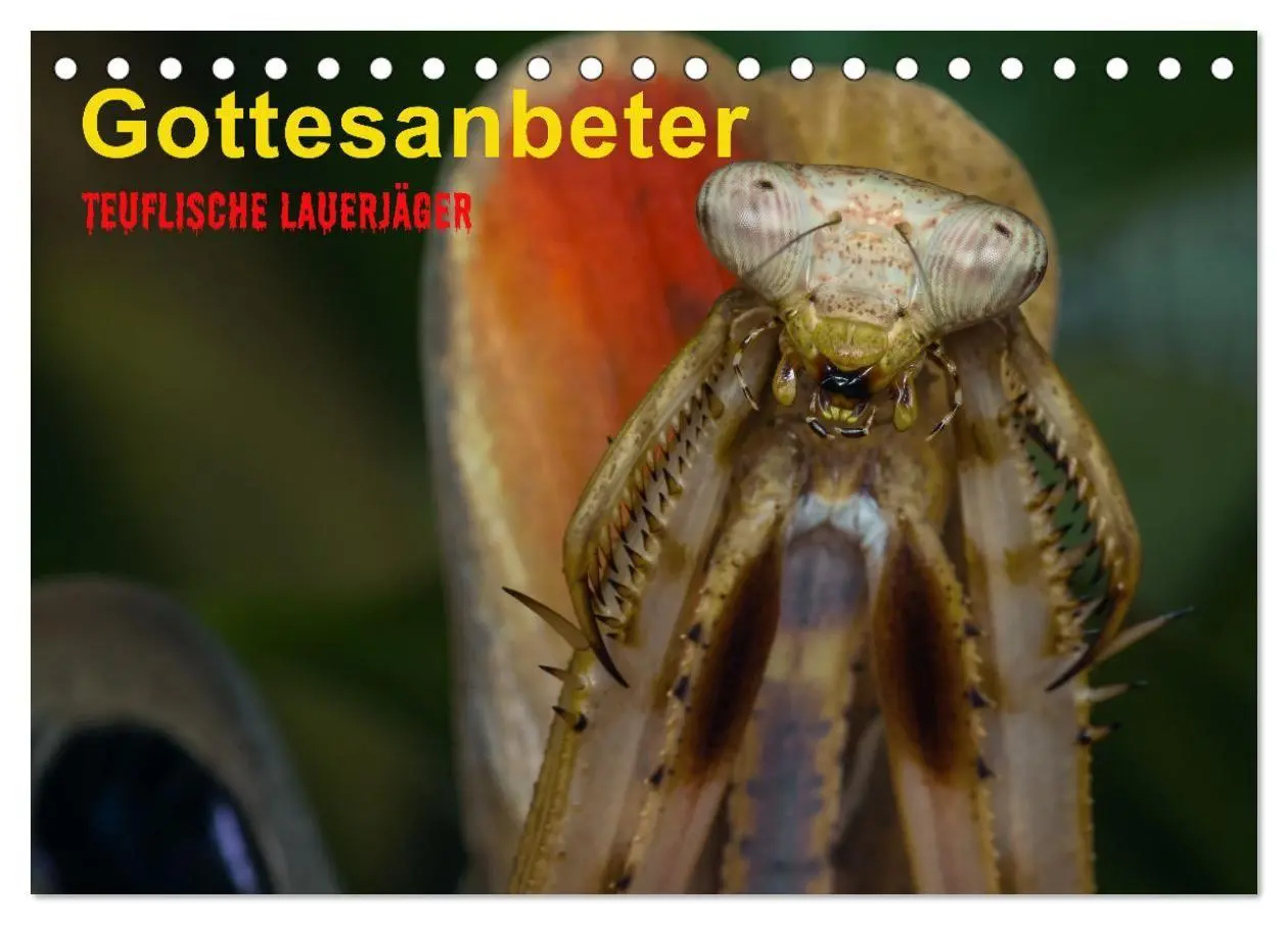 Cover: 9783457253304 | Gottesanbeter - Teuflische Lauerjäger (Tischkalender 2026 DIN A5...