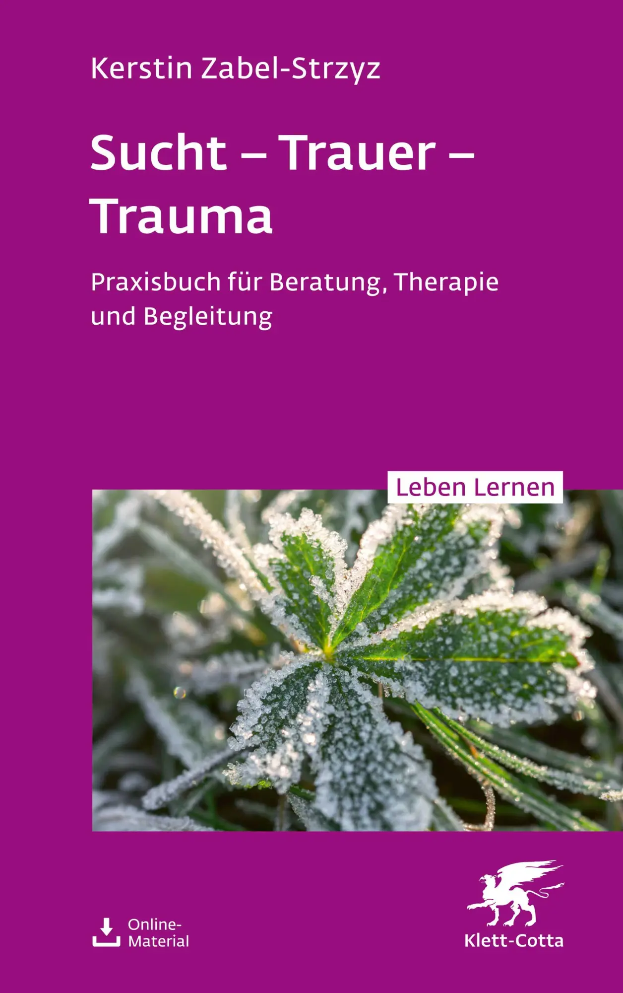 Cover: 9783608893304 | Sucht - Trauer - Trauma (Leben Lernen, Bd. 357) | Kerstin Zabel-Strzyz