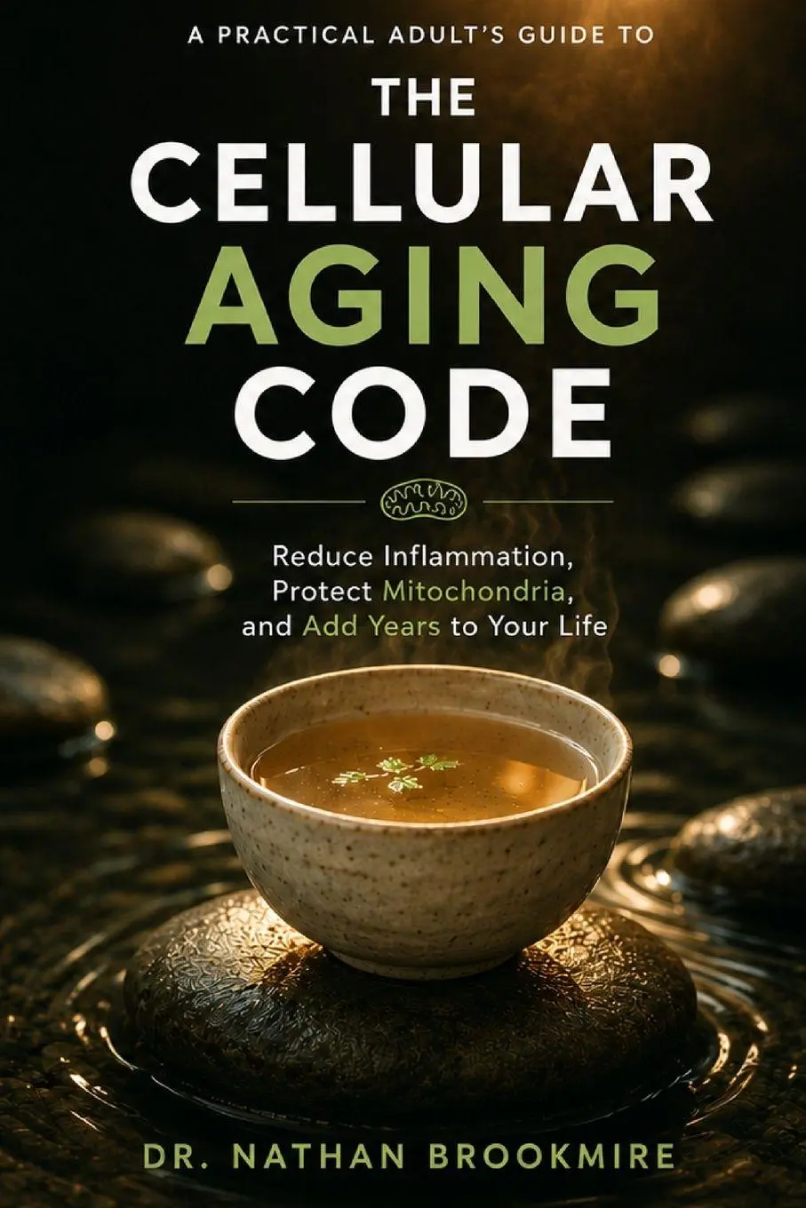 Cover: 9798256153304 | The Cellular Aging Code | Nathan Brookmire | Taschenbuch | Englisch