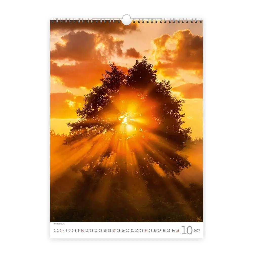 Bild: 8596641043404 | TRÖTSCH - Wandkalender Trees 2027 | Wandkalender | KG | Kalender