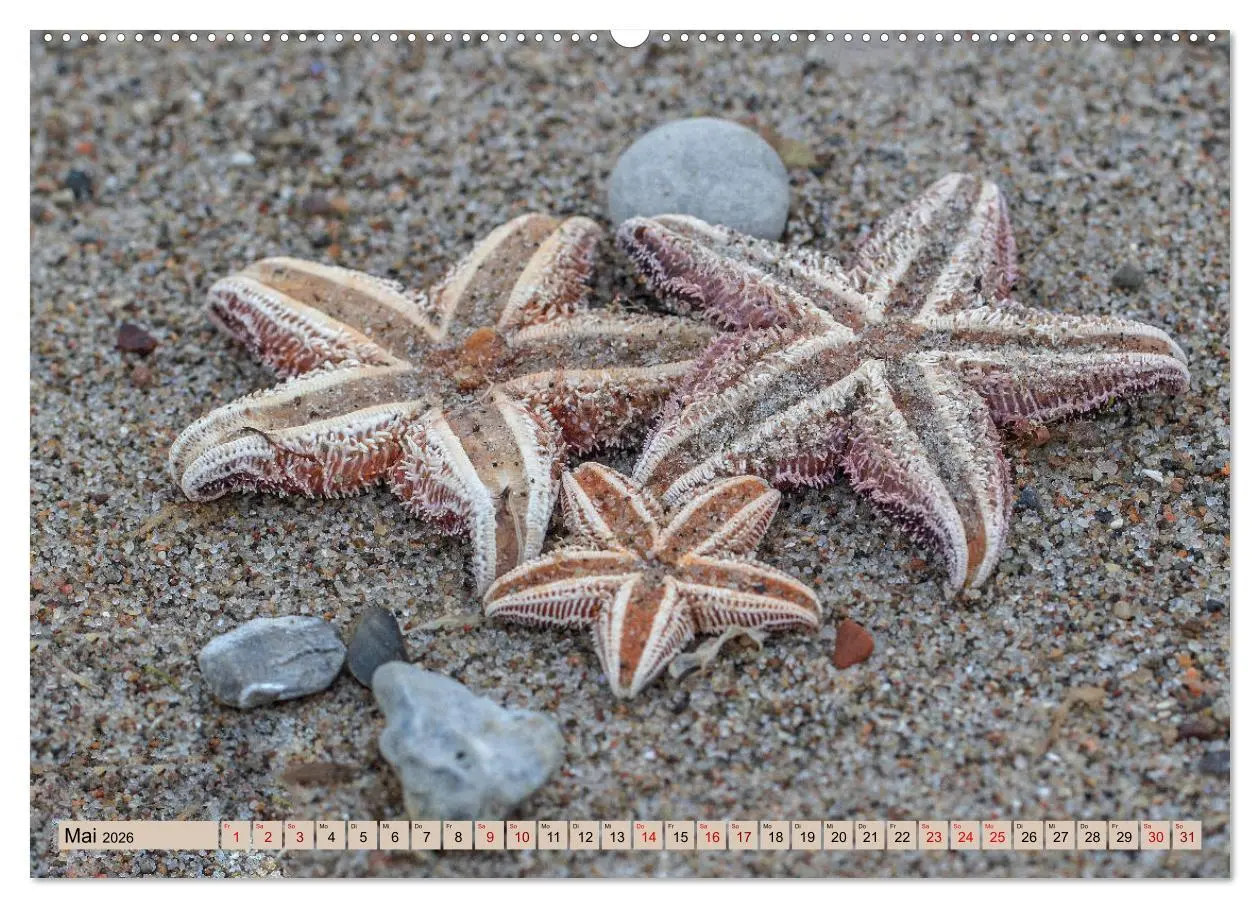 Bild: 9783457863404 | Timmendorfer Strand - Urlaubsparadies an der Ostsee (Wandkalender...