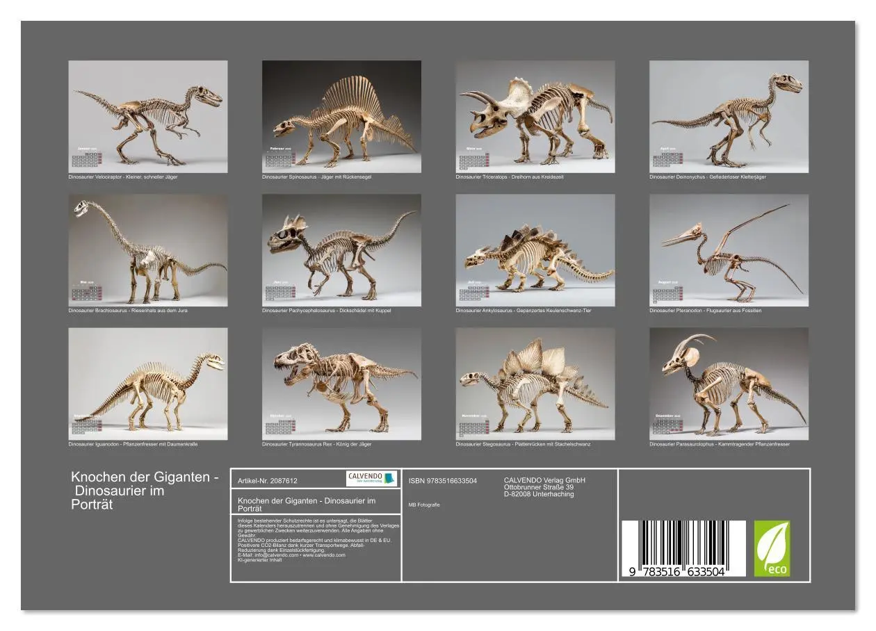 Bild: 9783516633504 | Knochen der Giganten - Dinosaurier im Porträt (Wandkalender 2026...