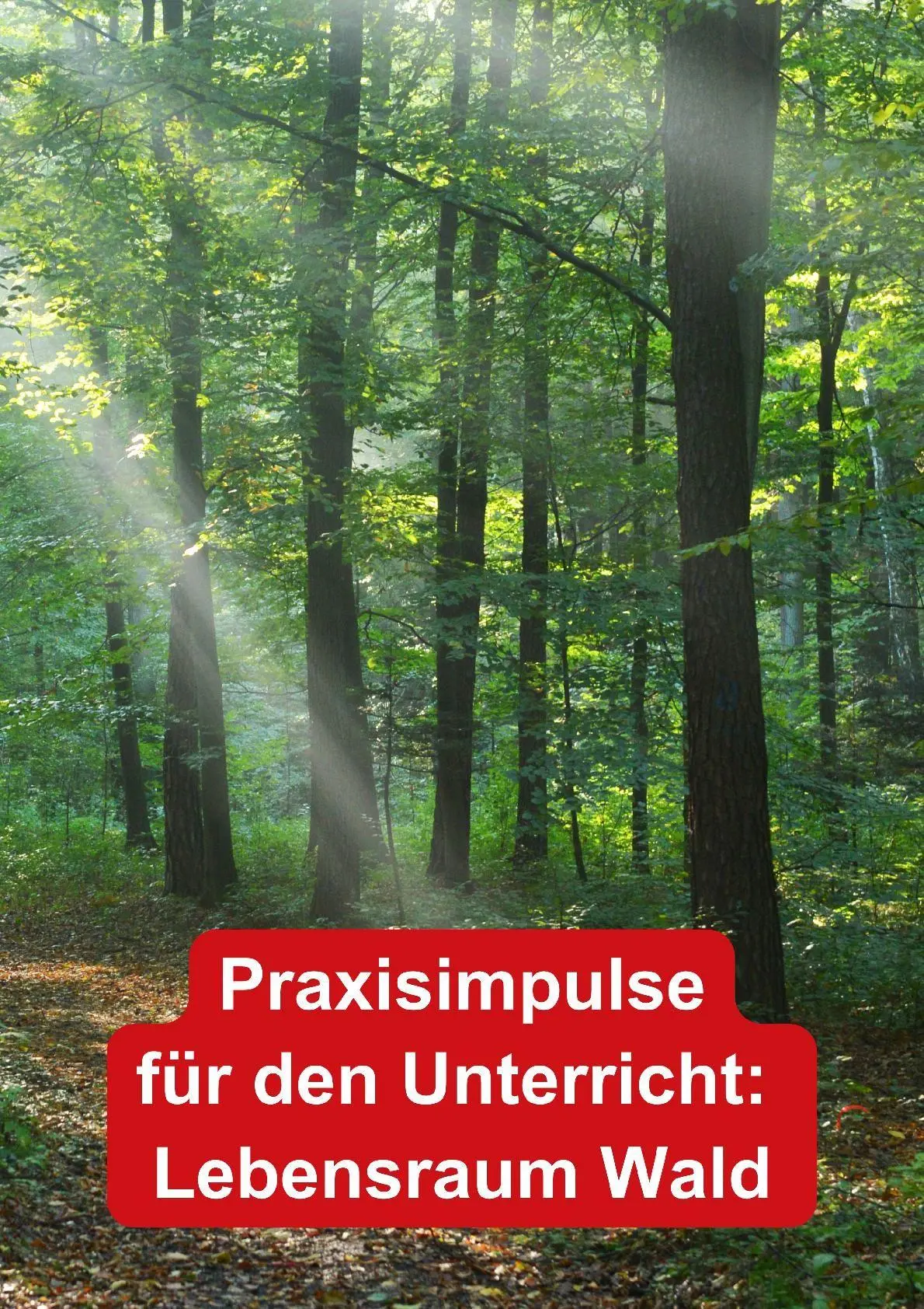 Bild: 9783867403504 | Themenheft Wald 1./2. Klasse | Melanie Scheidweiler | Broschüre | 2013
