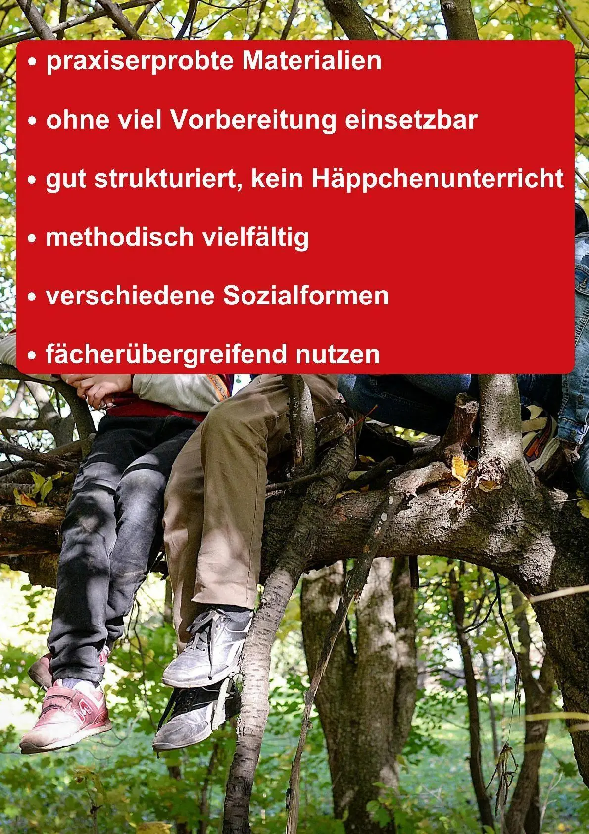 Bild: 9783867403504 | Themenheft Wald 1./2. Klasse | Melanie Scheidweiler | Broschüre | 2013