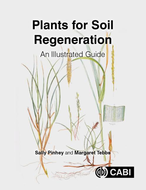 Cover: 9781789243604 | Plants for Soil Regeneration | An Illustrated Guide | Tebbs (u. a.)