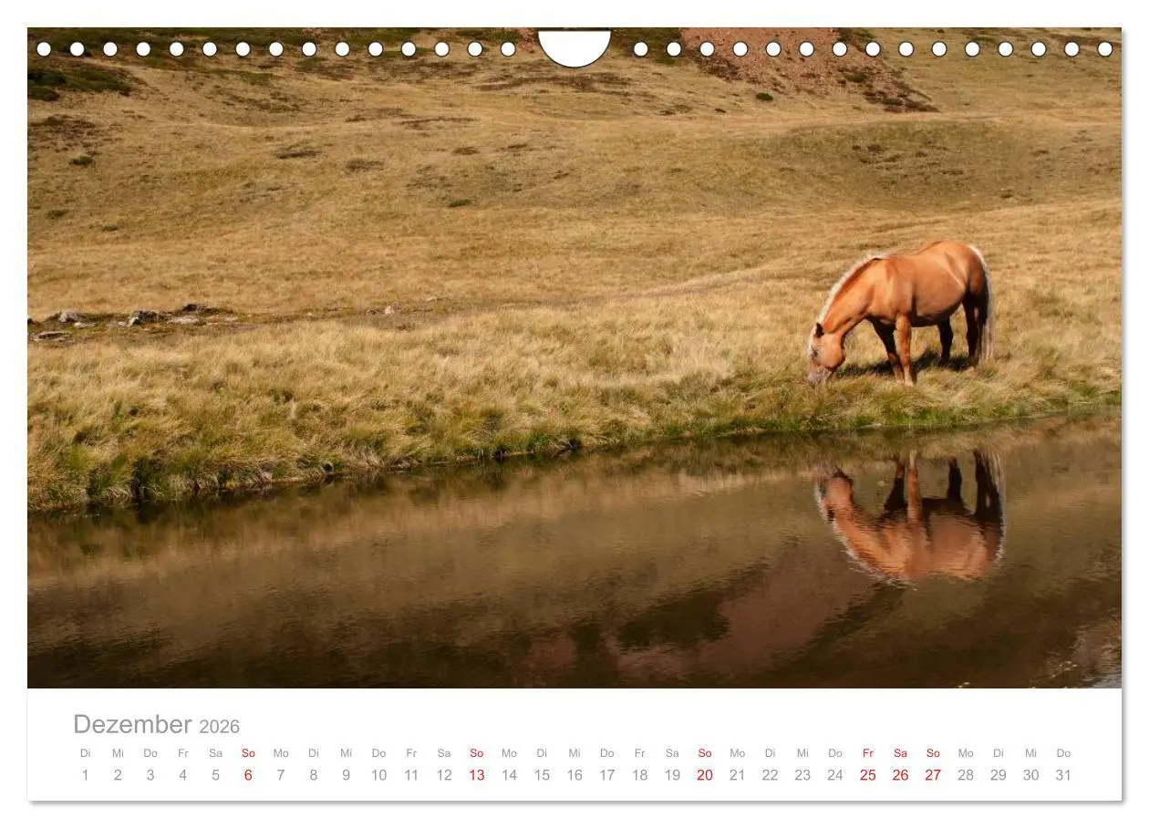 Bild: 9783516003604 | Pferde - In natürlicher Umgebung (Wandkalender 2026 DIN A4 quer),...