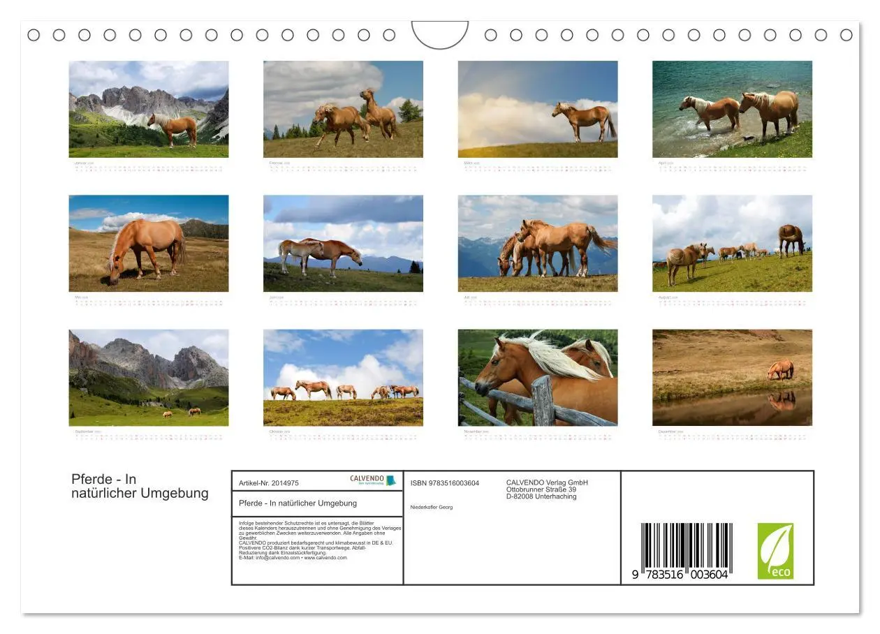 Bild: 9783516003604 | Pferde - In natürlicher Umgebung (Wandkalender 2026 DIN A4 quer),...