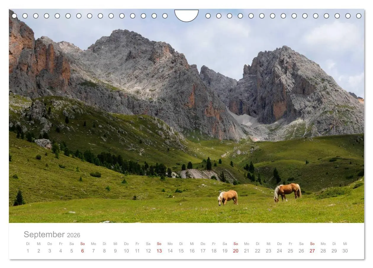 Bild: 9783516003604 | Pferde - In natürlicher Umgebung (Wandkalender 2026 DIN A4 quer),...