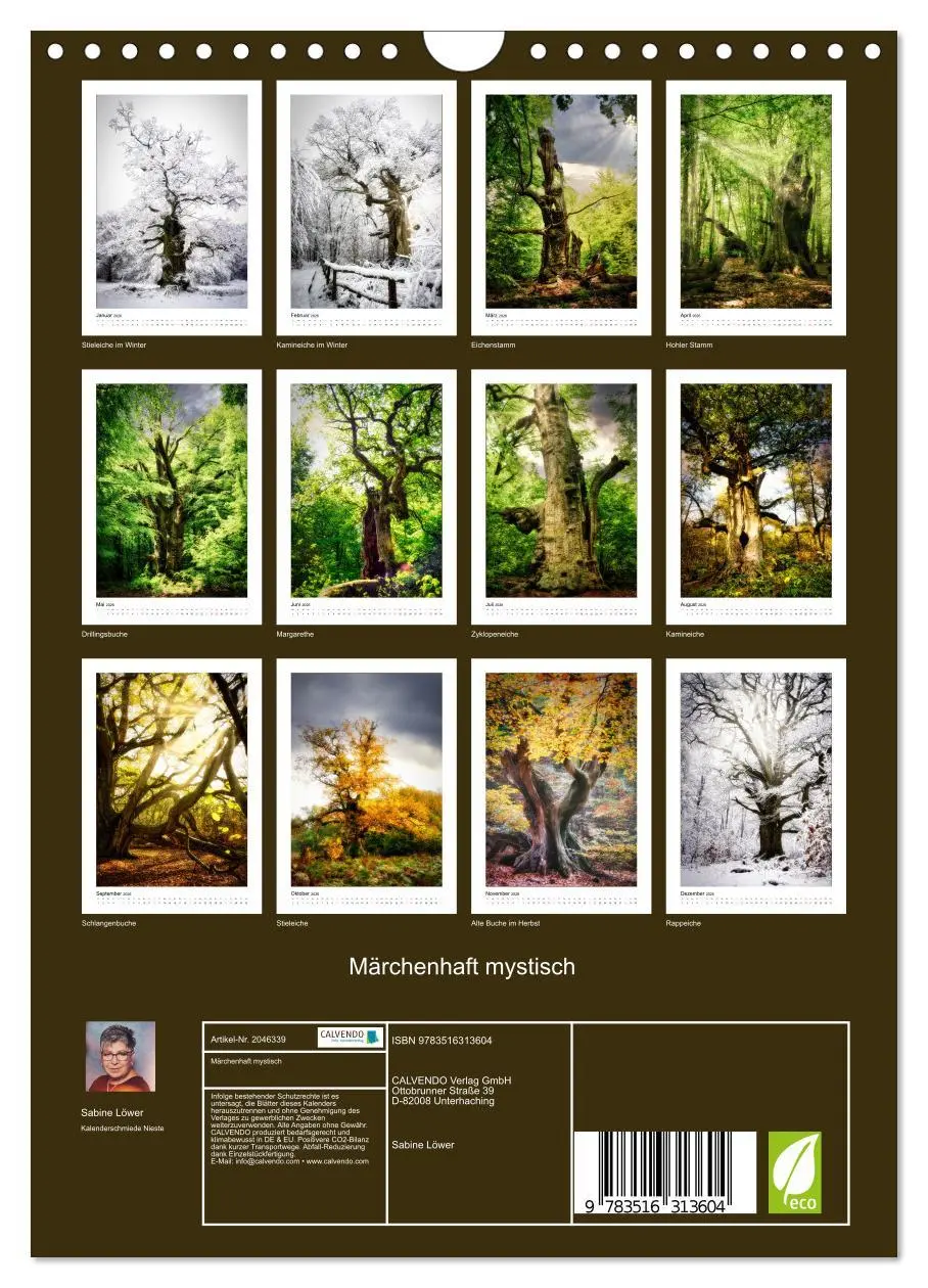 Bild: 9783516313604 | Märchenhaft mystisch (Wandkalender 2026 DIN A4 hoch), CALVENDO...