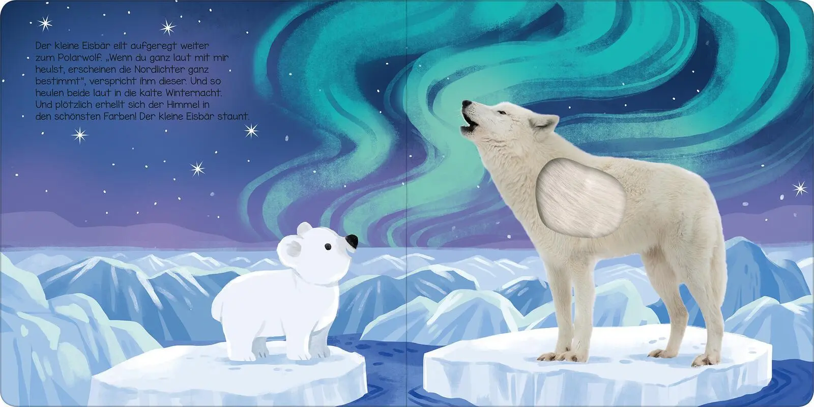 Bild: 9783845853604 | Hör mal, kleiner Eisbär! | Streicheln und hören | Kathryn Selbert