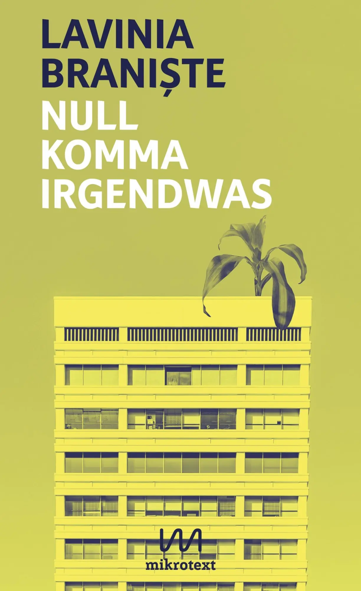 Cover: 9783944543604 | Null Komma Irgendwas | Lavina Braniste | Buch | 288 S. | Deutsch